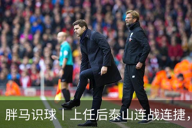 胖马识球丨上任后泰山连战连捷，唐田做对了什么？
